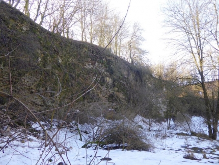 Bild 1 von Steinbruch südwestlich Schwaney